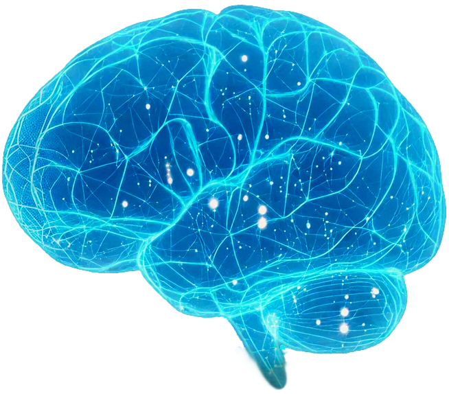 Brain illustration representing intelligence and innovation